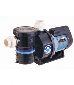 Hayward Tristar Pump