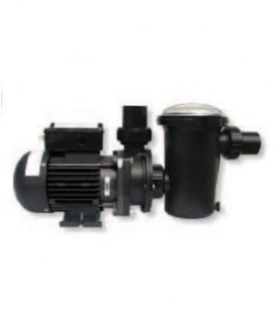 Hayward Tristar Pump