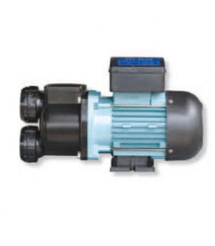 Hayward Super II Pump