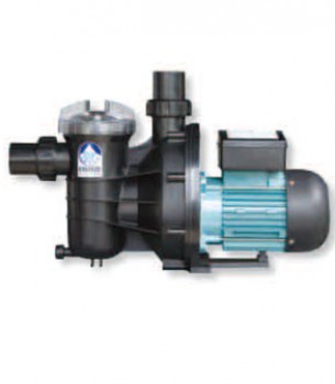 Hayward Tristar Pump