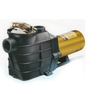 Hayward Super II Pump