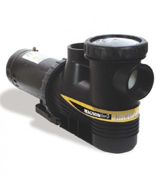 Hayward Tristar Pump